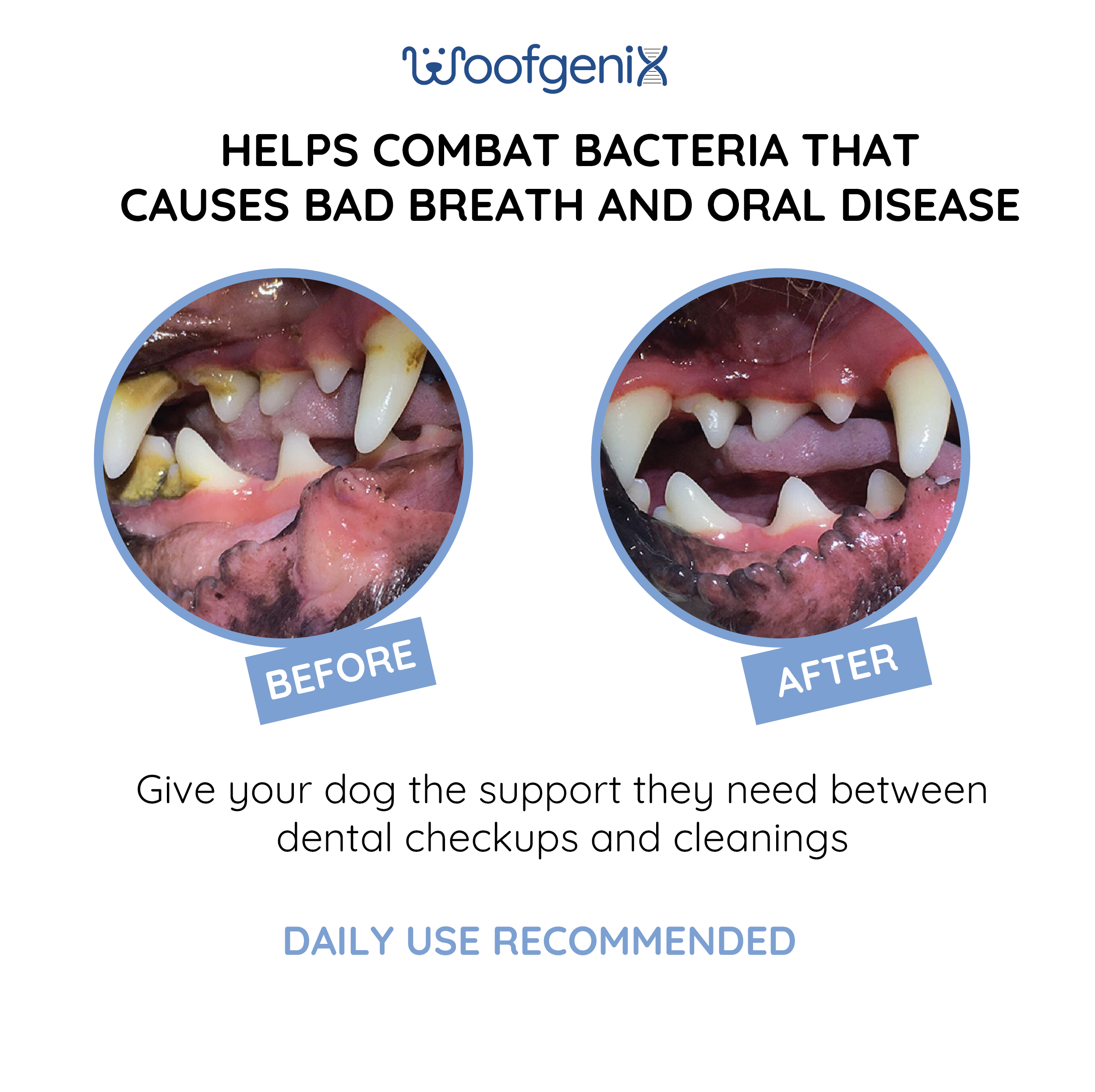 Canine Oral Gel