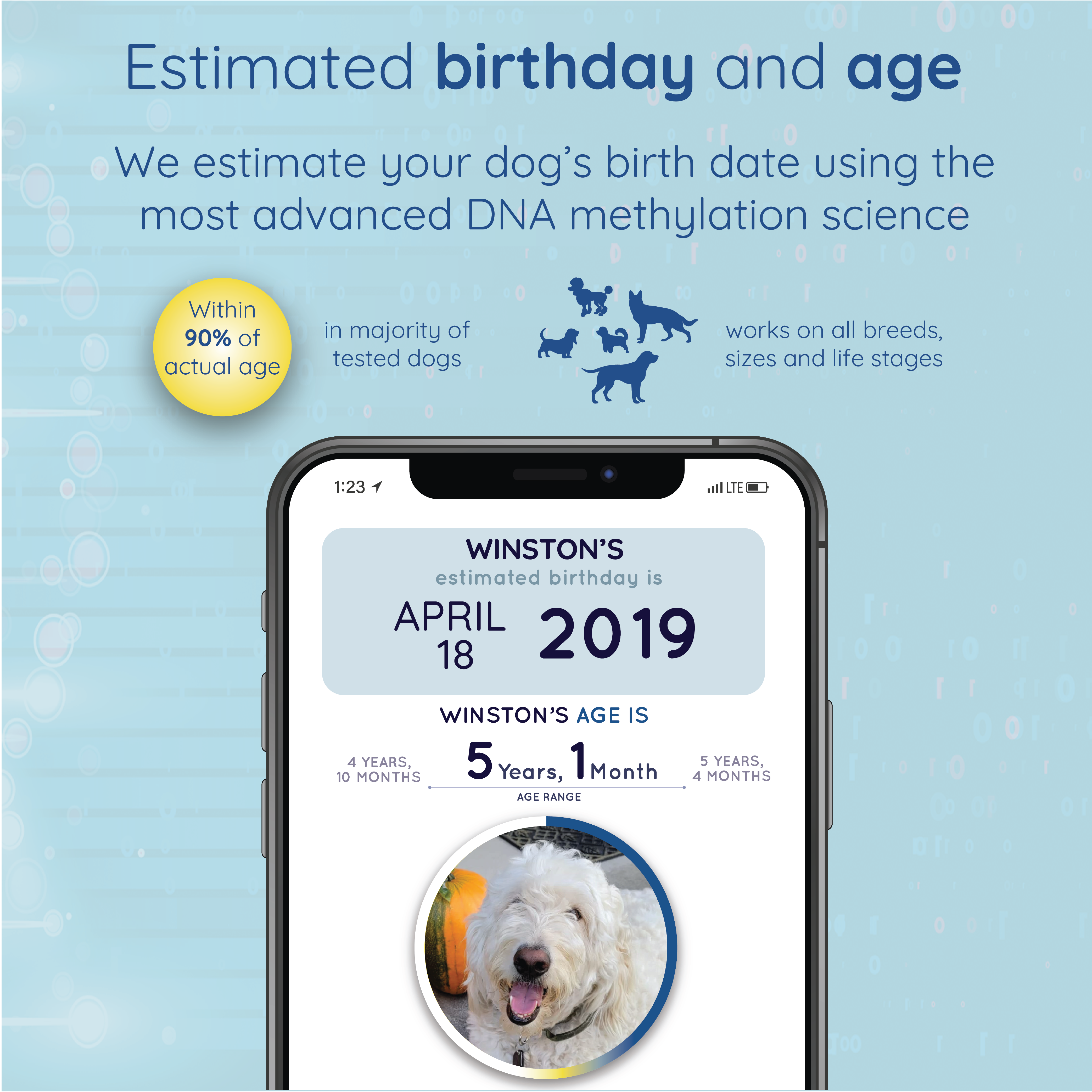 WoofAge - DNA Birthday Test