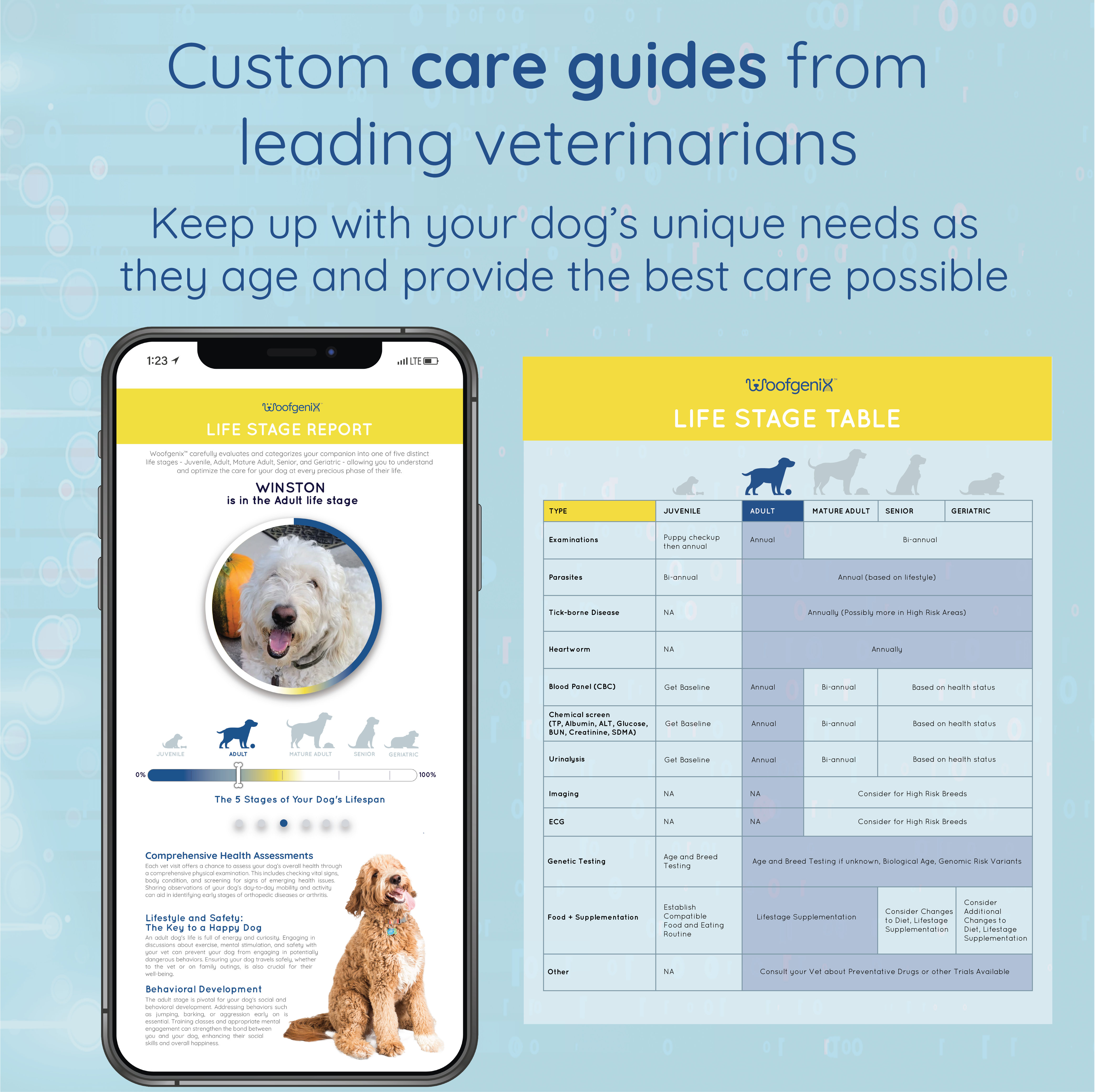 WoofAge - DNA Birthday Test