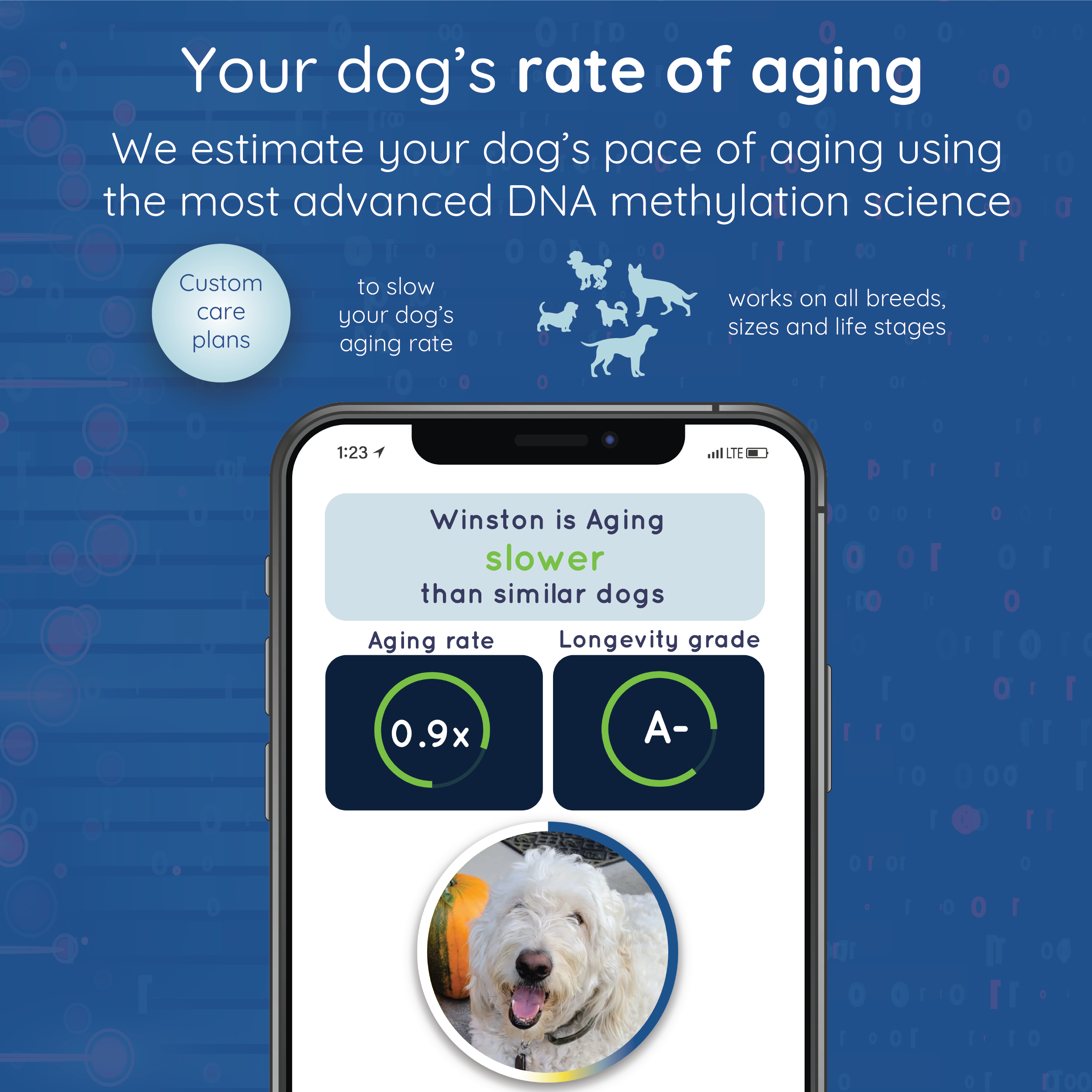 WoofSpan - DNA Longevity Test
