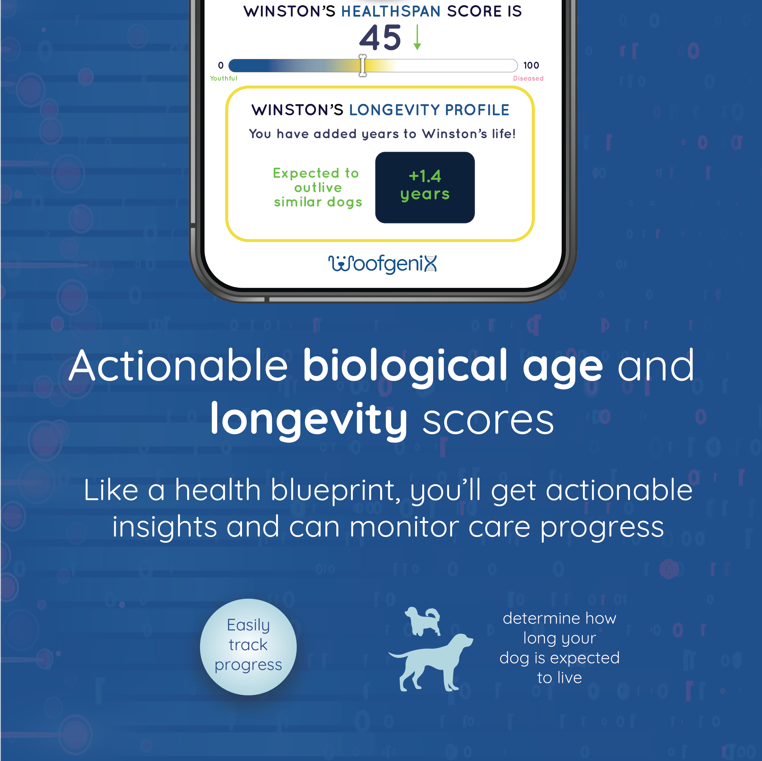 WoofSpan - DNA Longevity Test