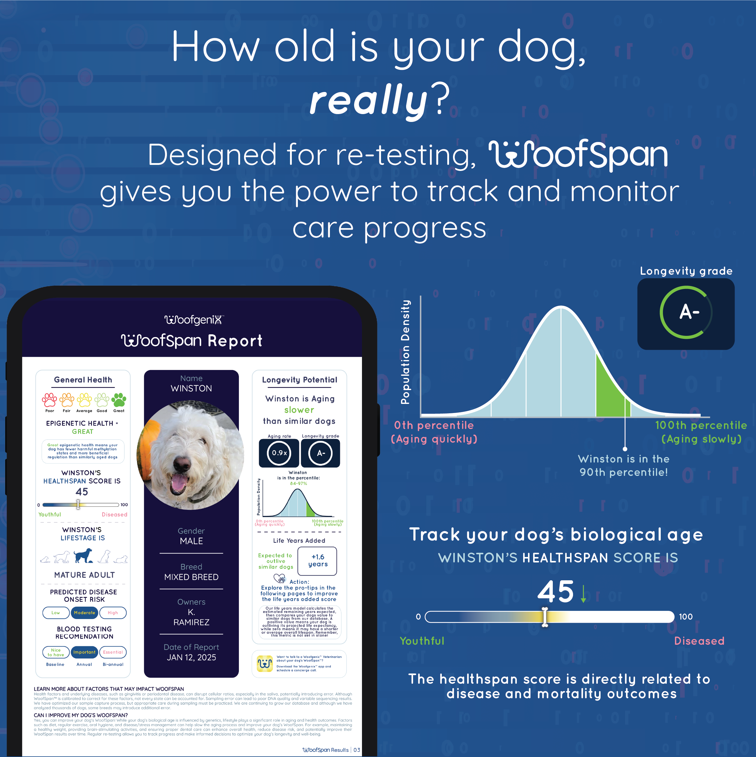 WoofSpan - DNA Longevity Test
