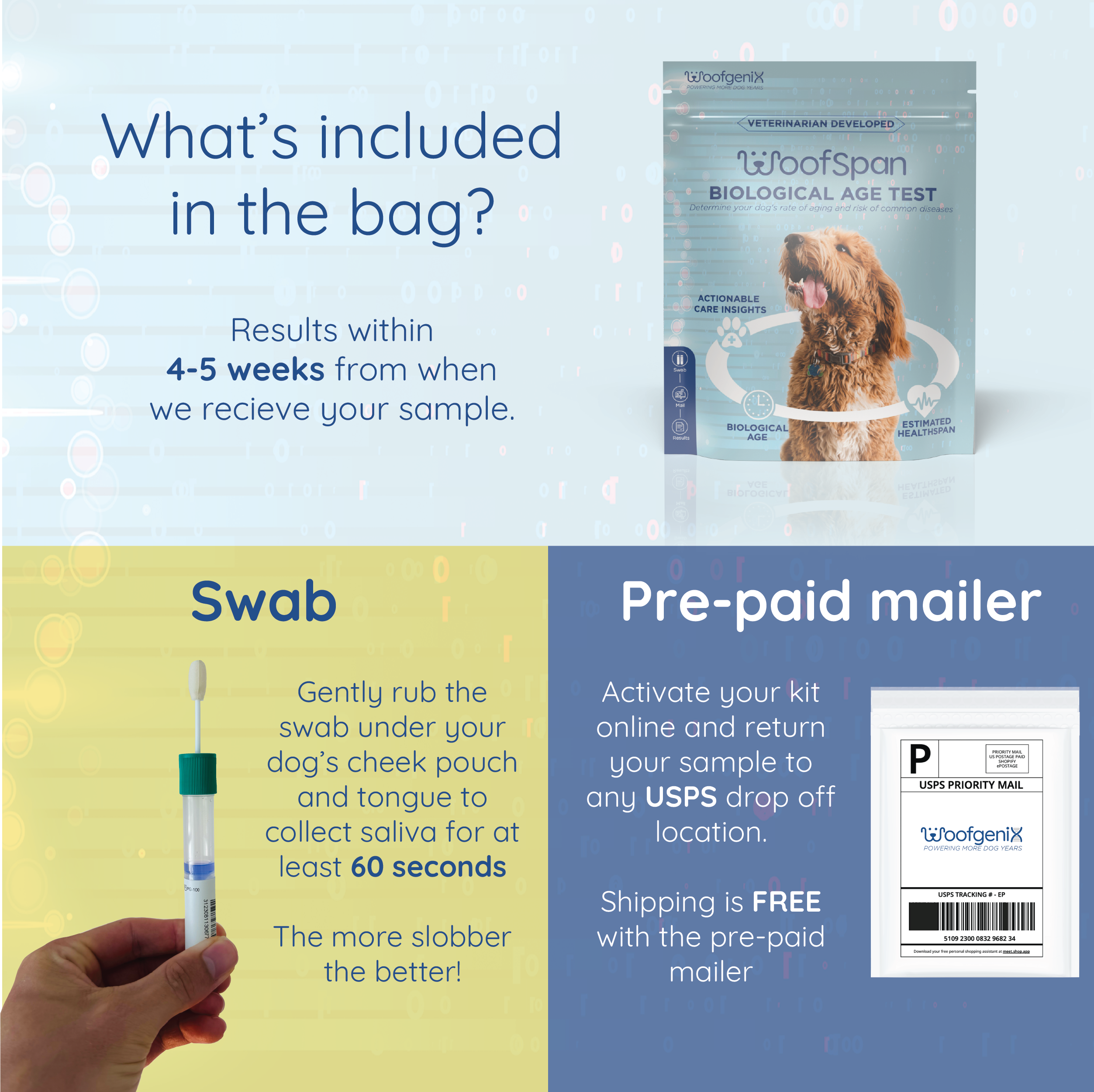 WoofSpan - DNA Longevity Test