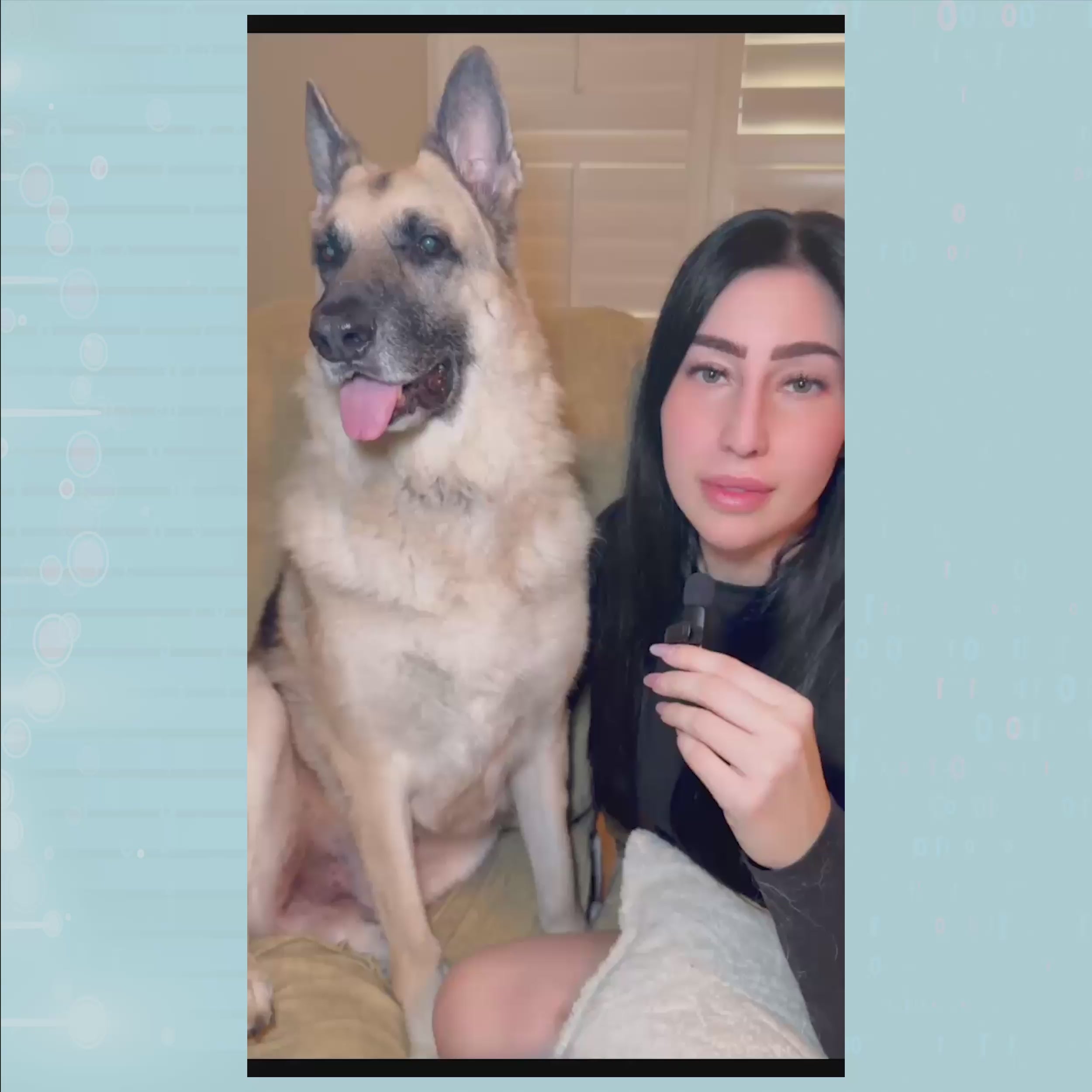 WoofAge - DNA Birthday Test